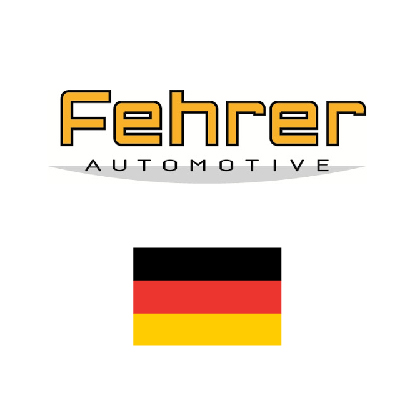 Fehrer Automotive logo with german flag. Client of DAVISA Industrial: Development Leader.